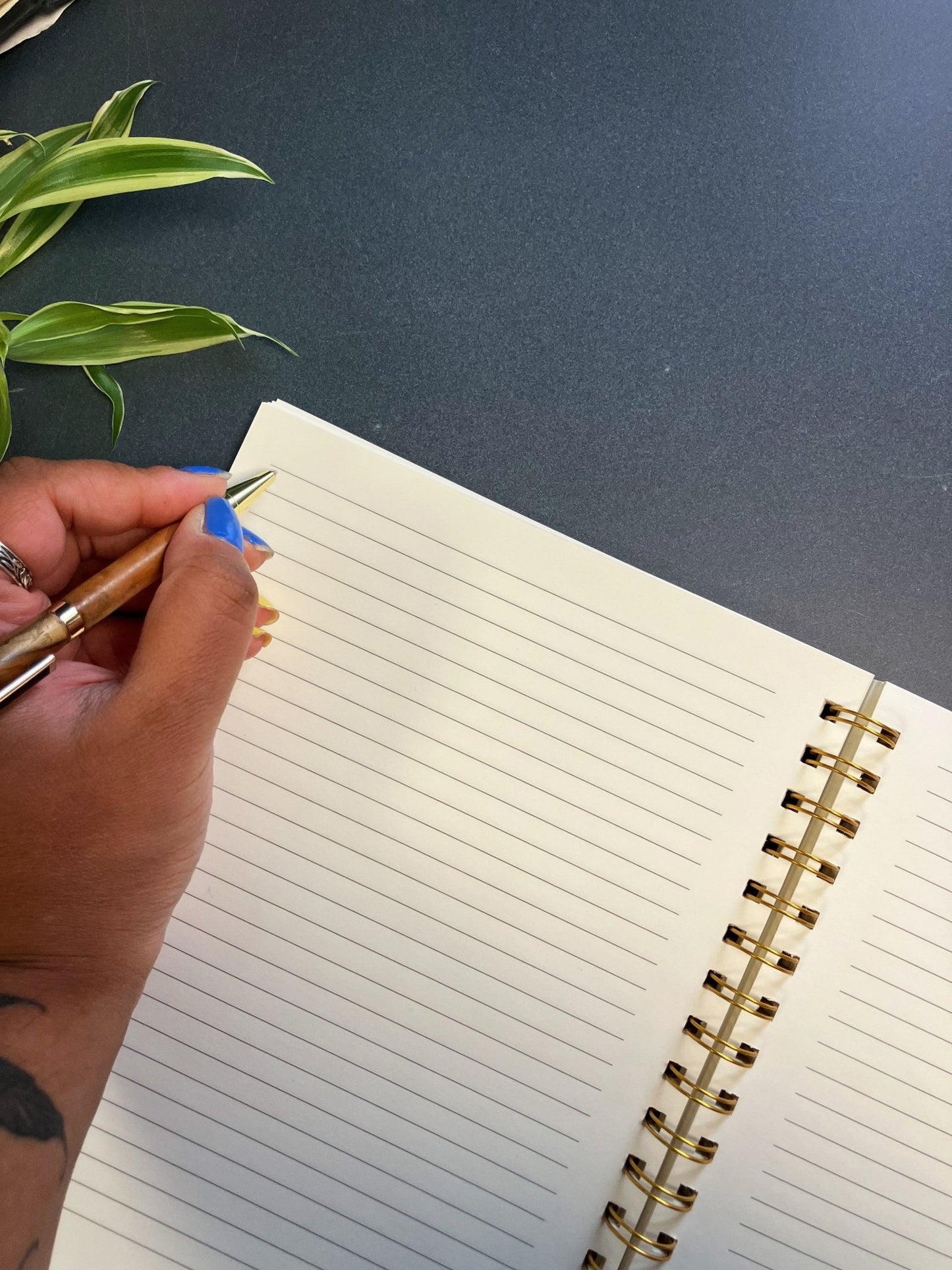 Geometric Spiral Notebook - The Willoughby Book ClubNon Book Product