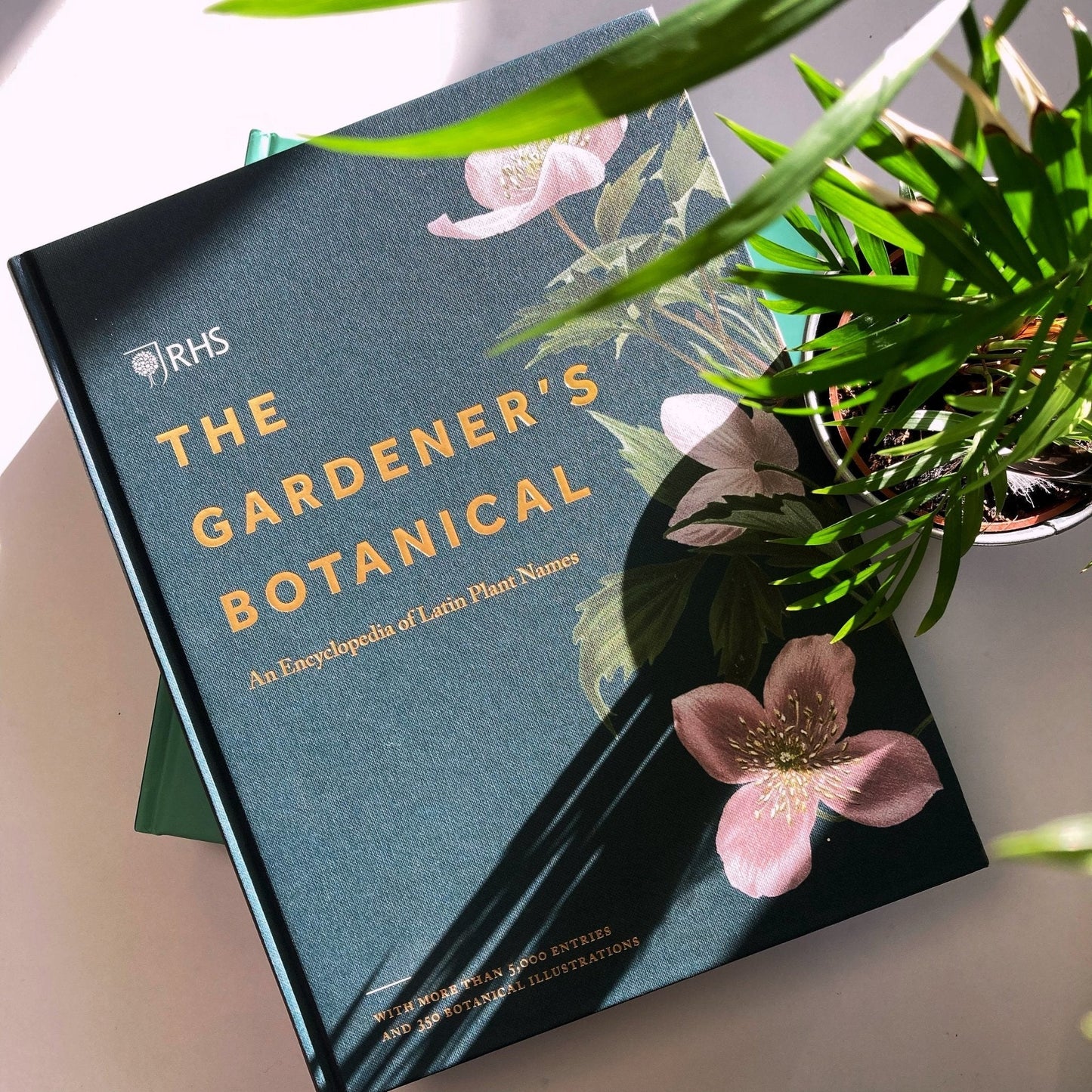 Homes & Gardens Book Subscription - The Willoughby Book ClubBook Subscription3 Months