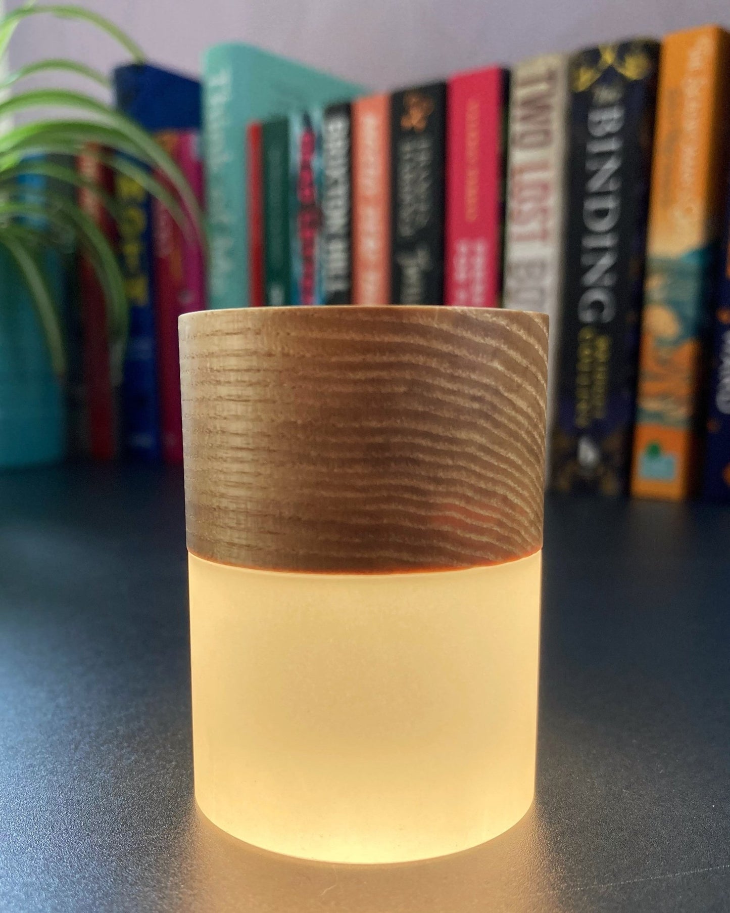 Lemelia Light - The Willoughby Book Club