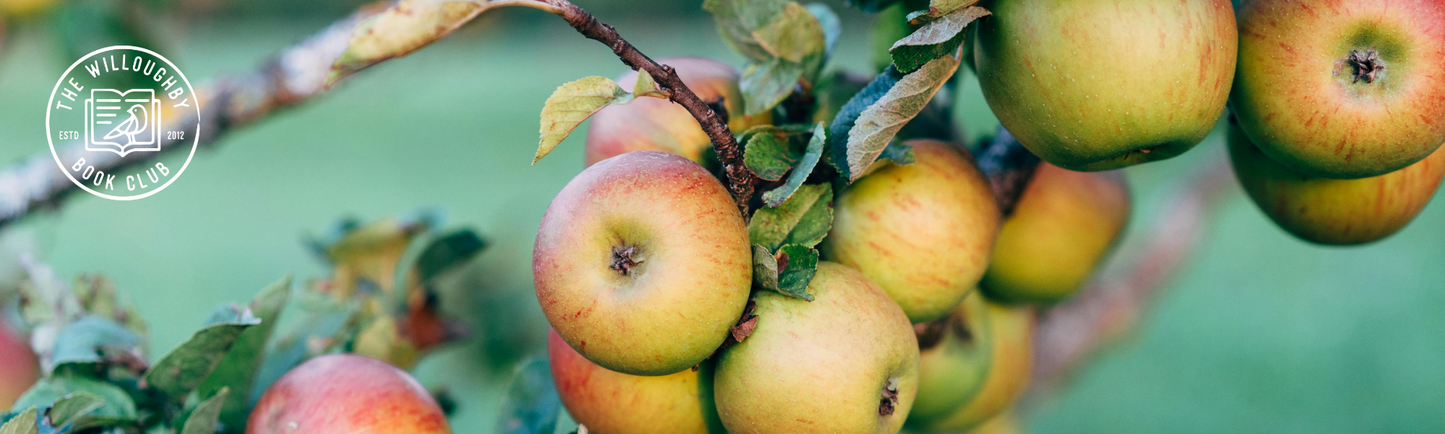 A Brambly Hedge Autumn: Book Recommendations for the Cooler Months