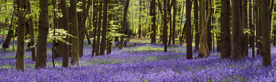 What We've Been Reading - The Willoughby Book Club