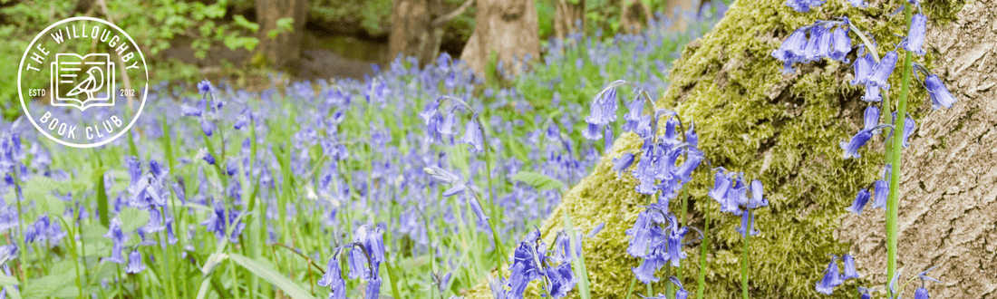 What We've Been Reading - The Willoughby Book Club