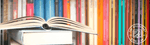 What We've Been Reading in February - The Willoughby Book Club