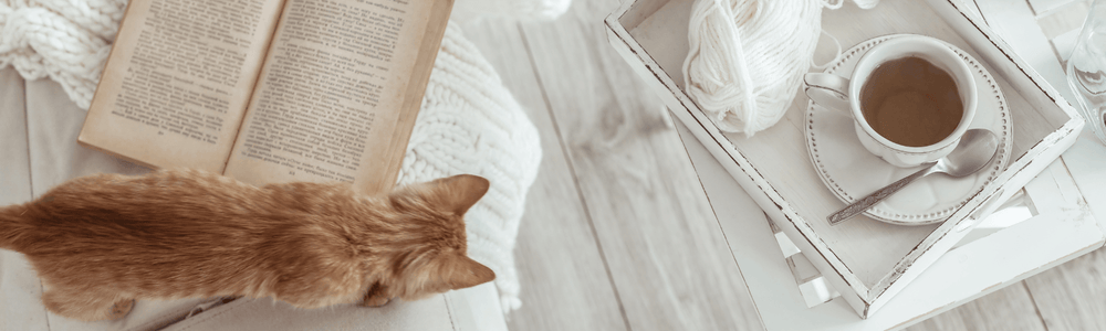What We've Been Reading in January - The Willoughby Book Club