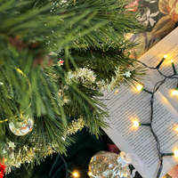 International Book Subscription