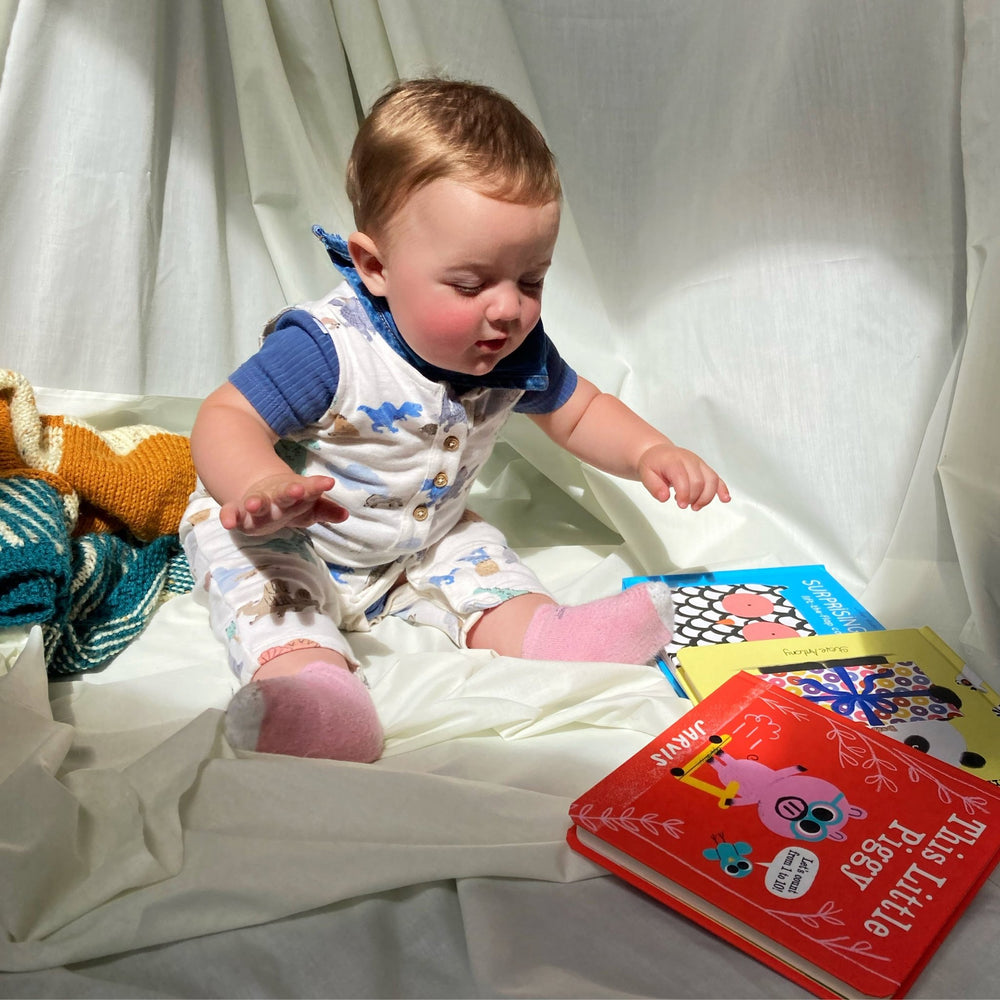 
                  
                    Baby Book Subscription - The Willoughby Book ClubBaby & Toddler3 Months
                  
                