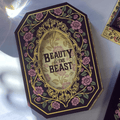 Beauty and the Beast Mirror Notebook