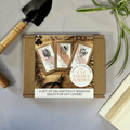 Literary Seeds: the Cat Lover's Garden