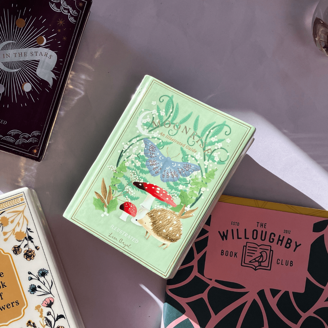 
                    
                      Moonrise Book Vase - The Willoughby Book ClubNon Book Product
                    
                  