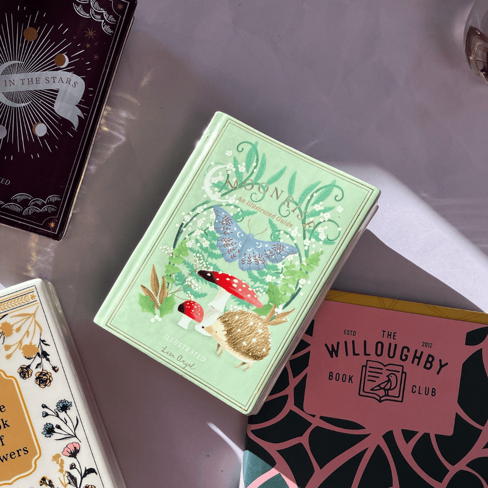 
                  
                    Moonrise Book Vase - The Willoughby Book ClubNon Book Product
                  
                