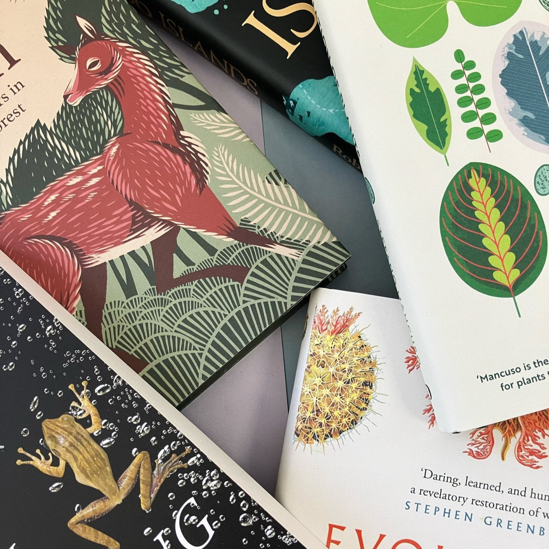 
                    
                      Natural History Book Subscription - The Willoughby Book ClubBooks3 months
                    
                  