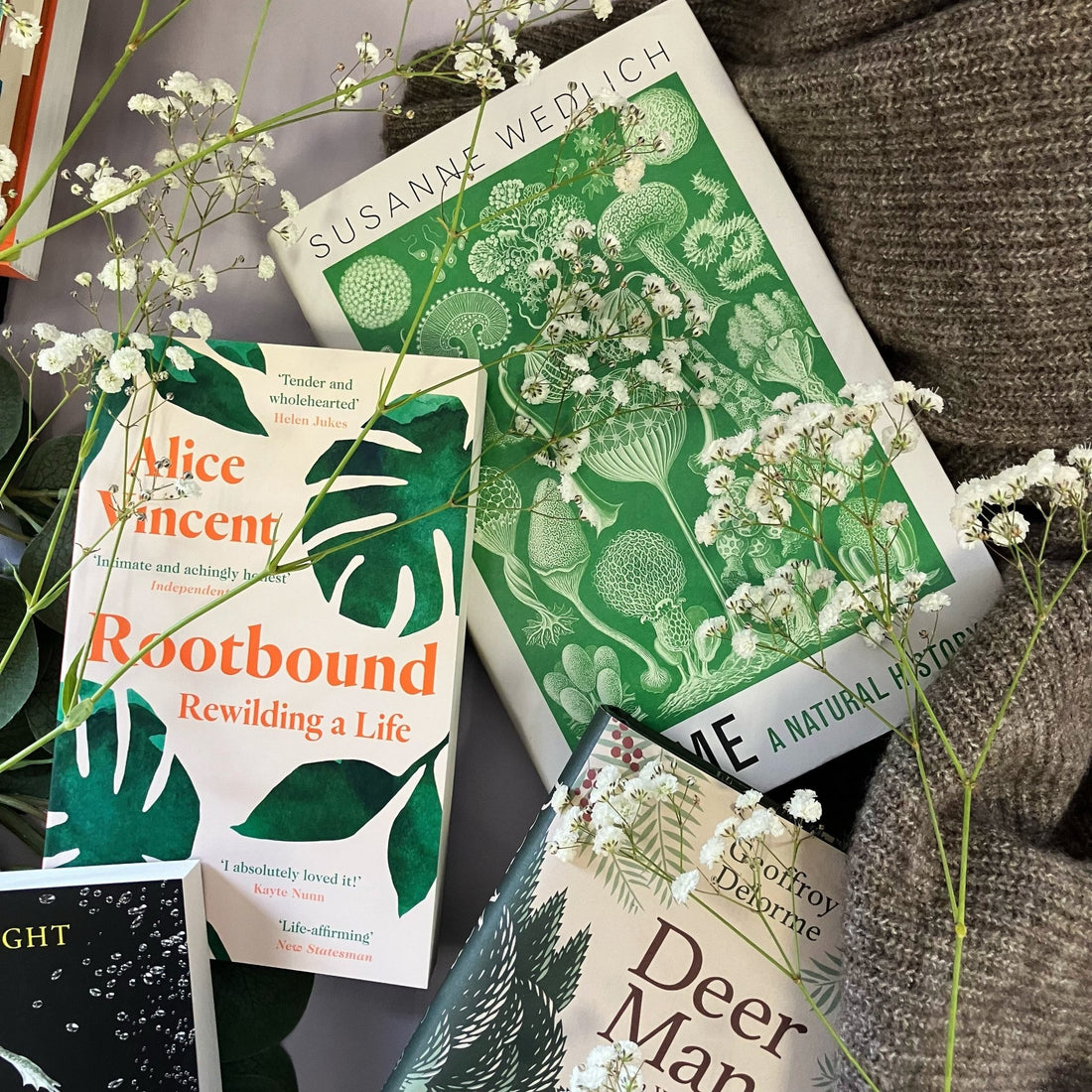 
                    
                      Natural History Book Subscription - The Willoughby Book ClubBooks3 months
                    
                  