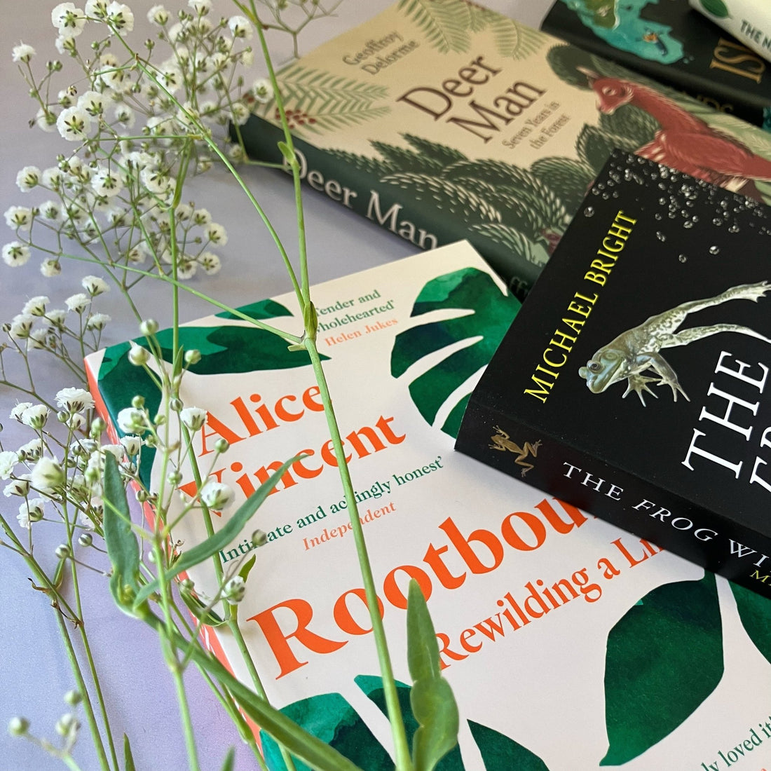 
                    
                      Natural History Book Subscription - The Willoughby Book ClubBooks3 months
                    
                  