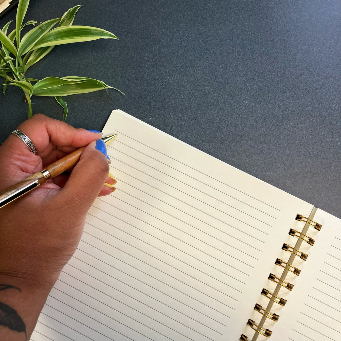 
                    
                      Spiralbound Notebook - The Willoughby Book ClubNon Book ProductOrange Botanical Notebook
                    
                  