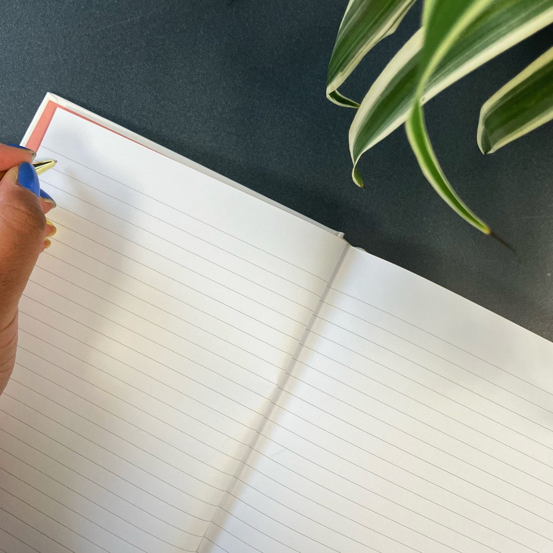 
                    
                      Watercolour Design Hardback Notebook - The Willoughby Book ClubNon Book Product
                    
                  