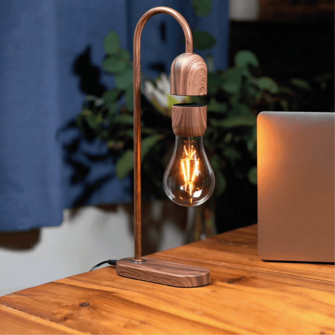 Evaro Tear Drop Light Bulb - The Willoughby Book ClubBlack