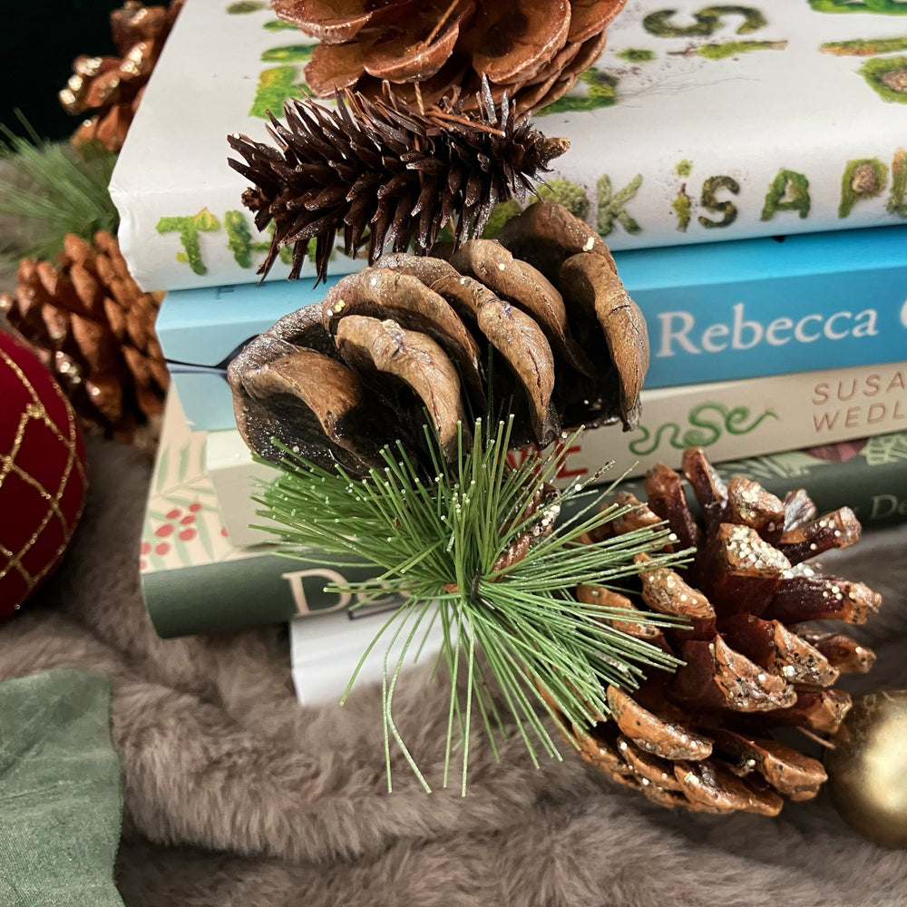 
                  
                    Natural History Book Subscription - The Willoughby Book Club3 Months
                  
                