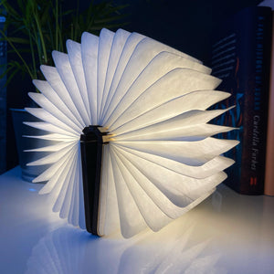
                  
                    Reading Book Light - Wooden Finish - The Willoughby Book ClubLightingMiniMaple
                  
                