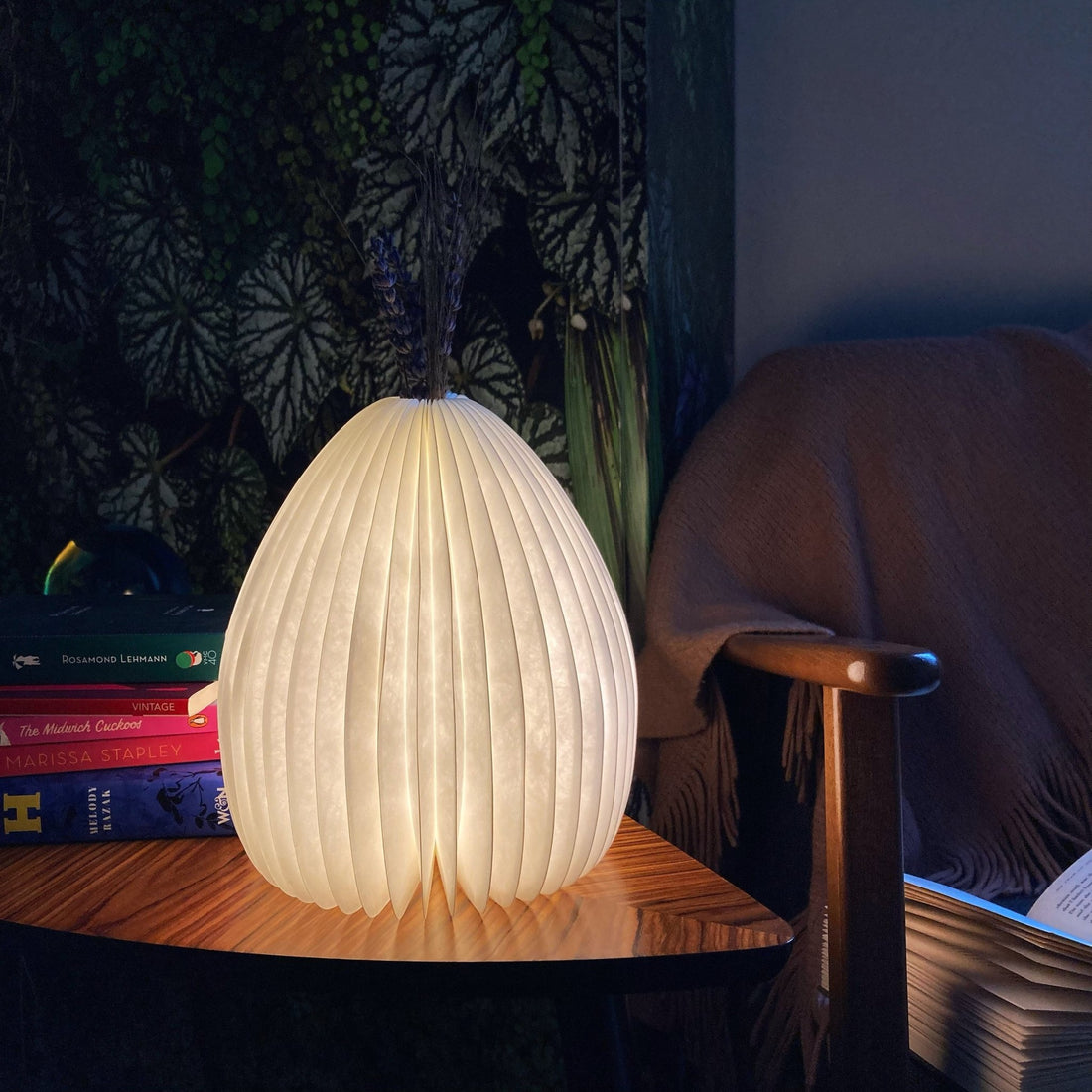 
                    
                      Vase Light - The Willoughby Book Club
                    
                  