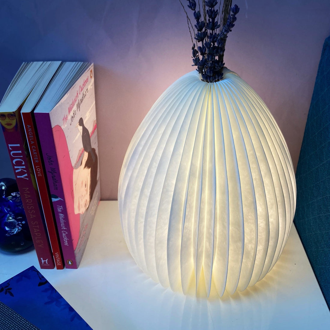 
                    
                      Vase Light - The Willoughby Book Club
                    
                  
